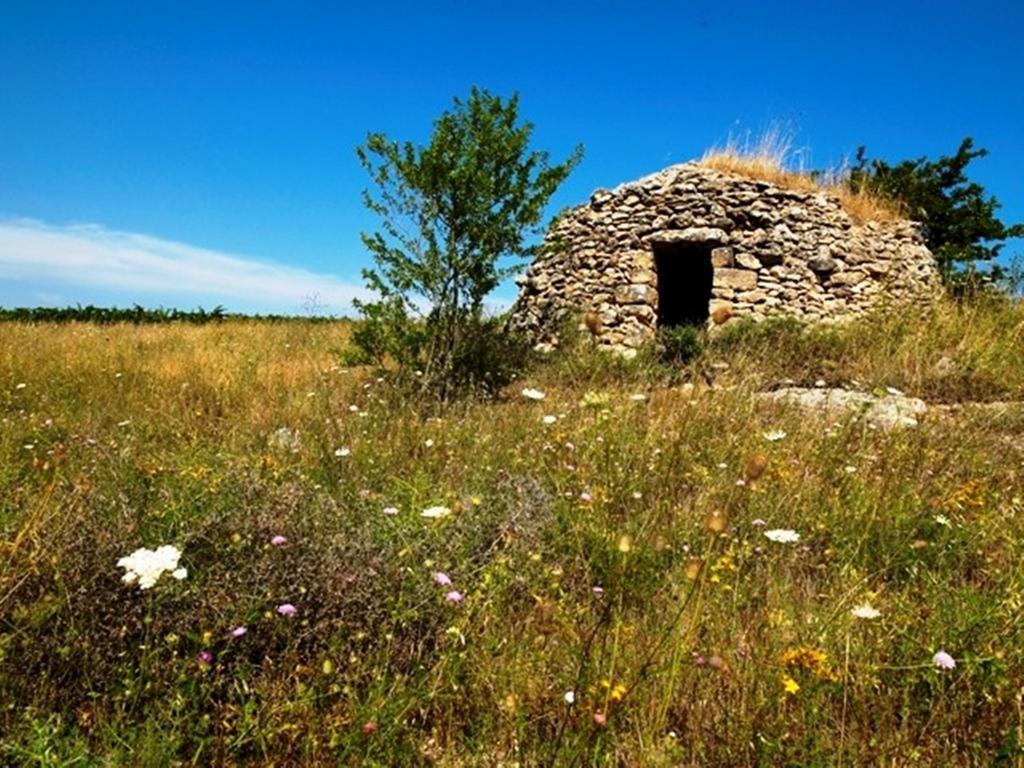 Cefalicchio B&B Canosa di Puglia Exterior foto