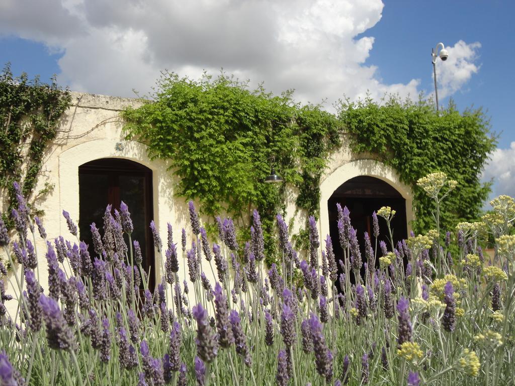 Cefalicchio B&B Canosa di Puglia Exterior foto